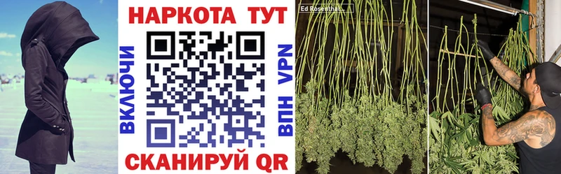 Купить наркотики цена Каргат Псилоцибиновые грибы ГАШИШ