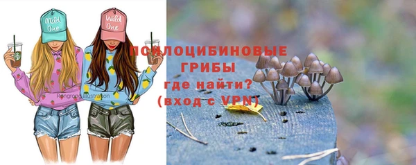 амф Алексеевка