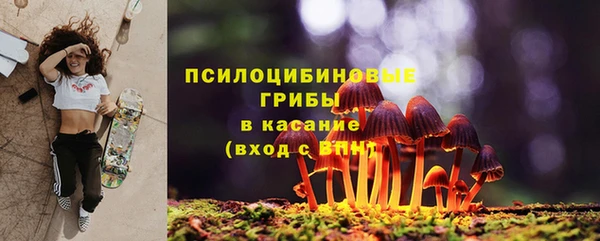 амф Алексеевка