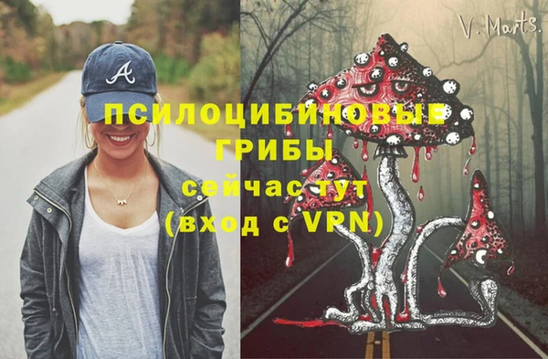 кокс Алексин