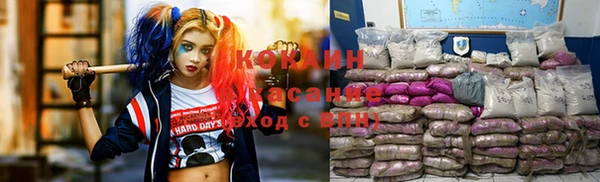 кокс Алексин