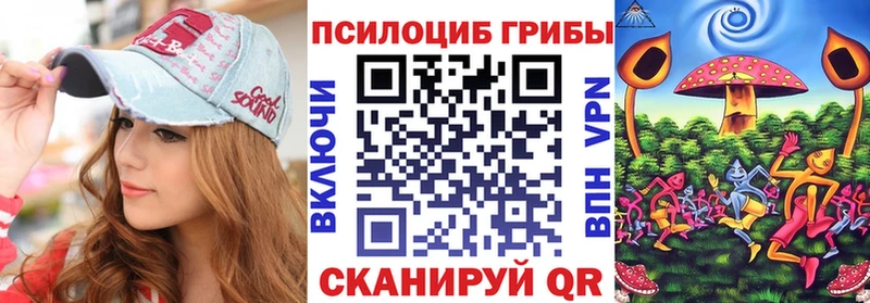 Галлюциногенные грибы Psilocybine cubensis  Каргат 